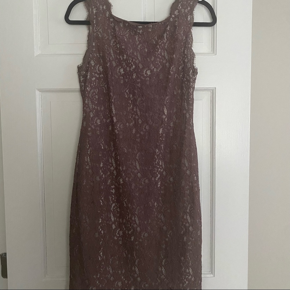 Mauve Lace Mini Dress by Adrianna Papell